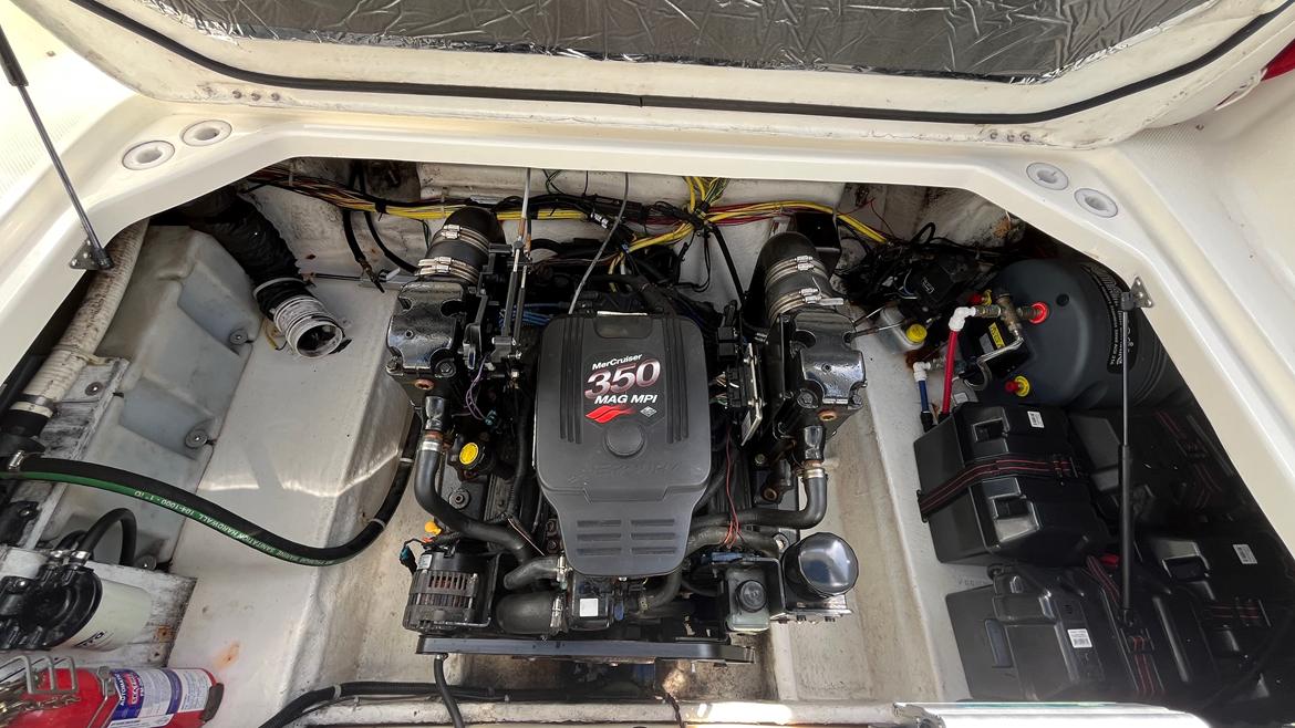 Bayliner 285 SB billede 10