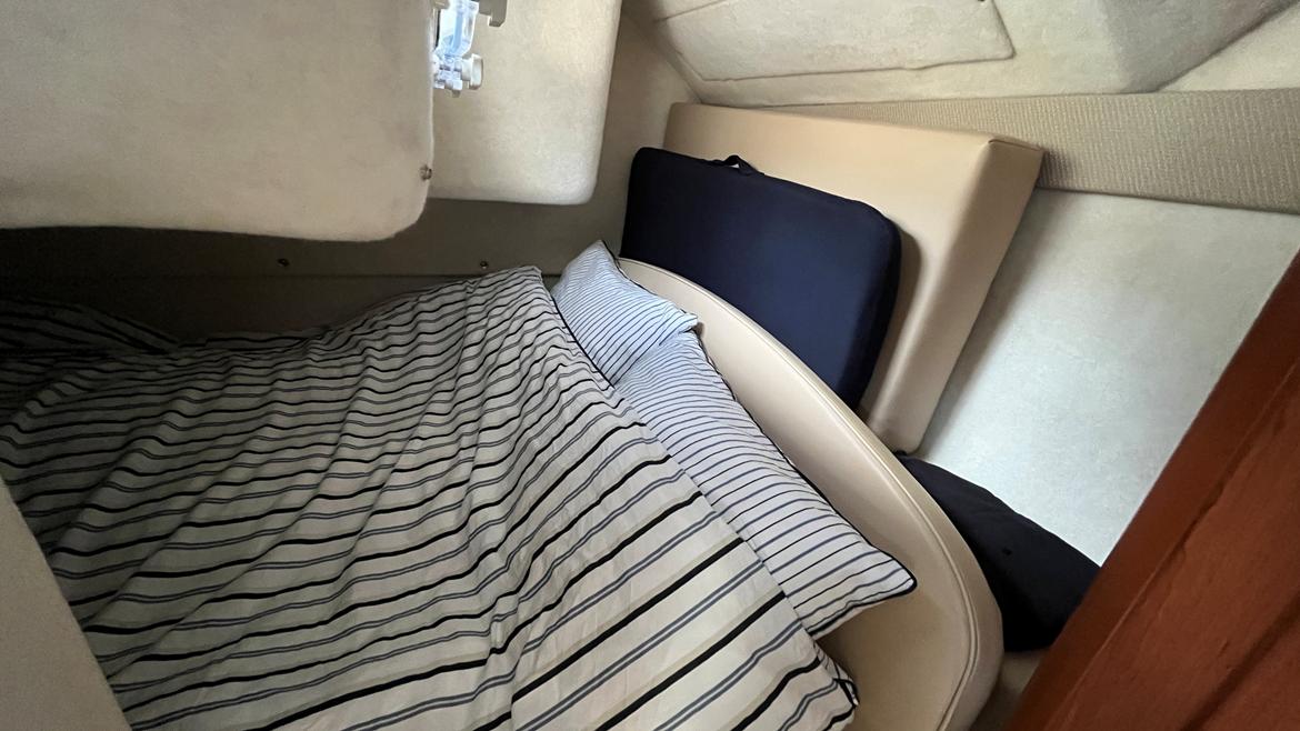 Bayliner 285 SB billede 19