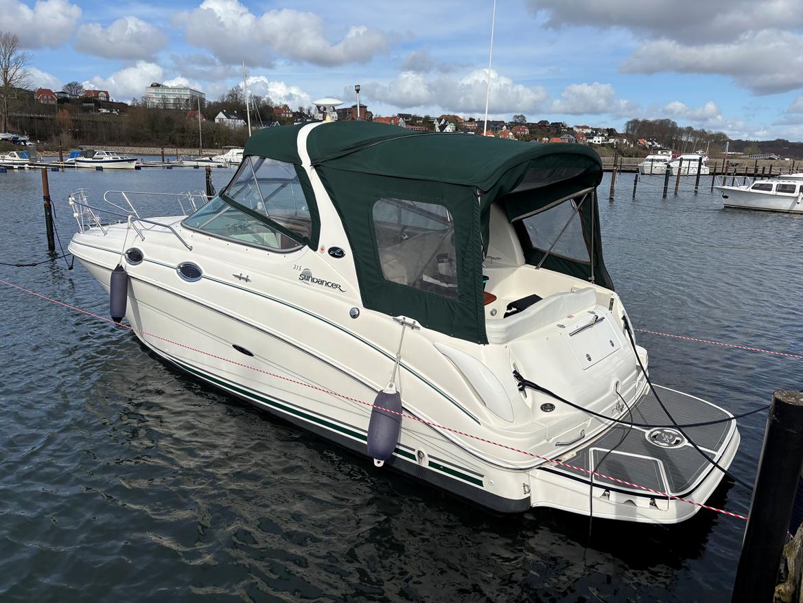Sea Ray 315 billede 6