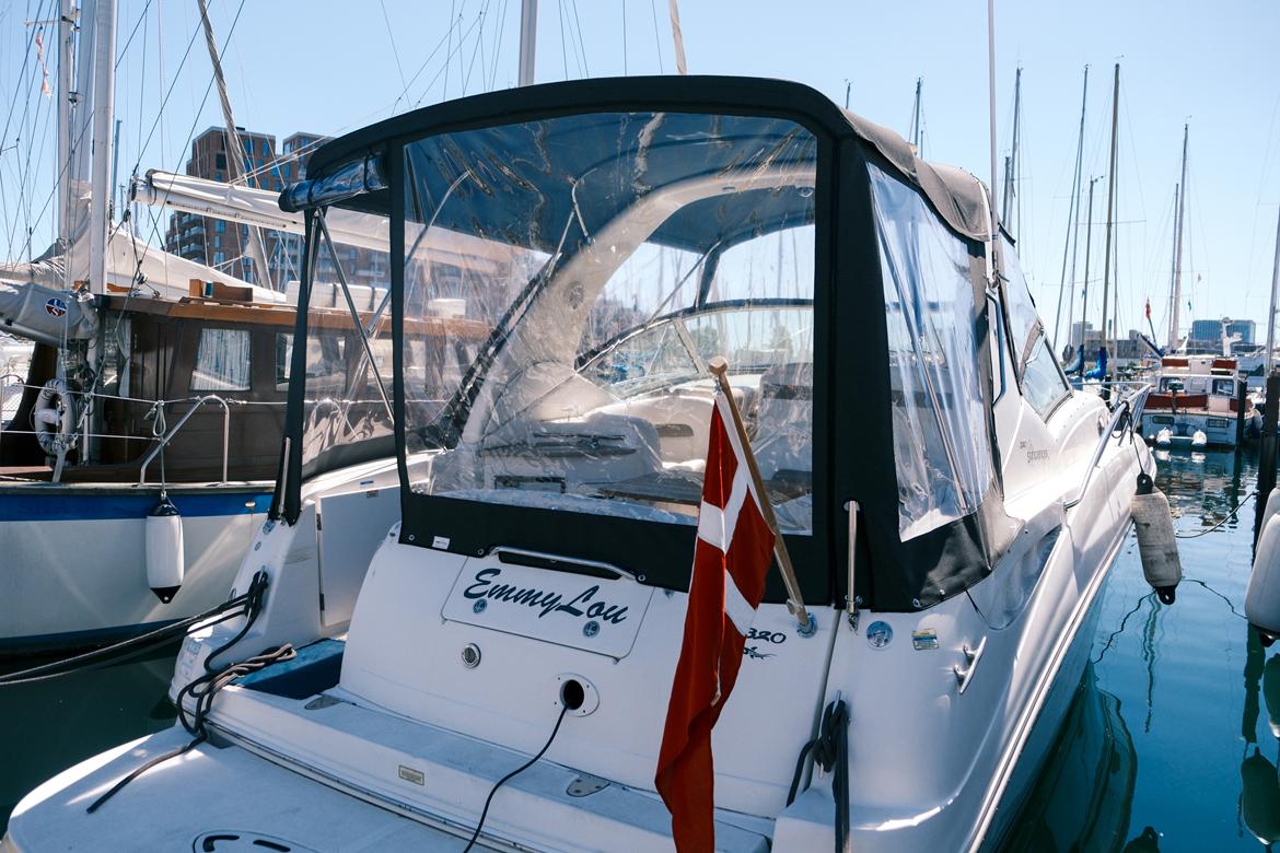 Sea Ray SunDancer 320 billede 1