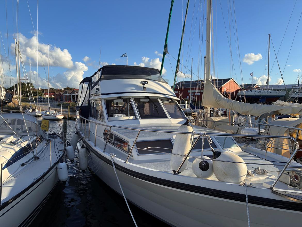 C Condor Comtess 44 - Vindspejl vandslebet og skåret ned i størrelse billede 2
