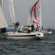 Comet Comet 11 PLUS