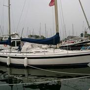 Contest 36 ketch