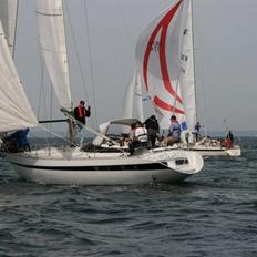 Comet Comet 11 PLUS
