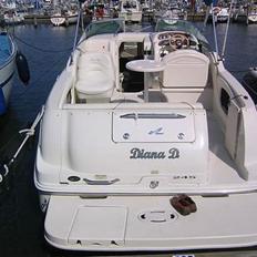 Sea Ray 245 WE