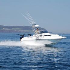 Drago Fiesta 600