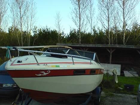 Chris Craft Scorpion 230 billede 4