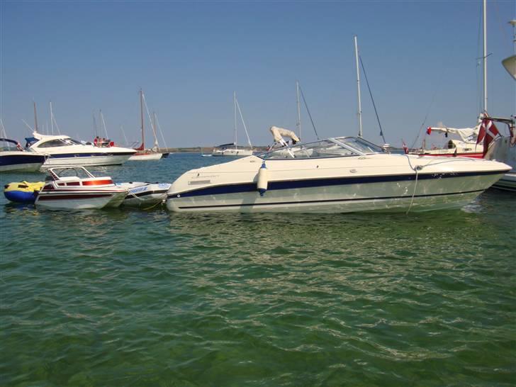 Campion Allante 615 VRi cc billede 14