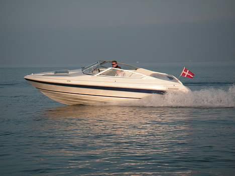 Campion Allante 615 VRi cc billede 16