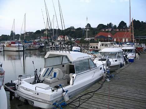 Cutter Profisher 182 HT - 3stk Profisher på stribe. Sea Cloud i midten, Cille II bagerst billede 15