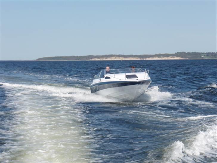 Bayliner 1952 - fin tur til skive billede 15