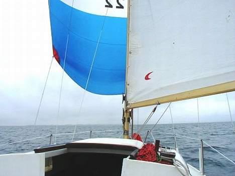 Danboat 23 billede 2