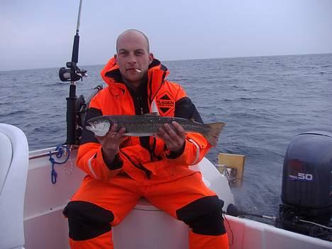 Quicksilver 500 c billede 4