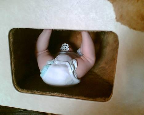 Fletcher .Zingaro billede 5