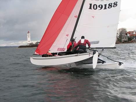 Hobie Cat hobie 16 spi billede 2