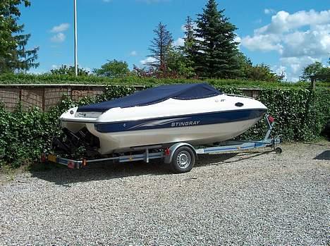 Stingray 200 CS billede 1
