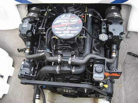 Stingray 200 CS billede 3