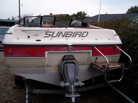 Sunbird 182 billede 4