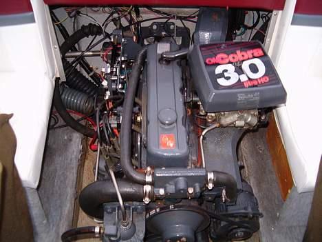 Sunbird 182 billede 5