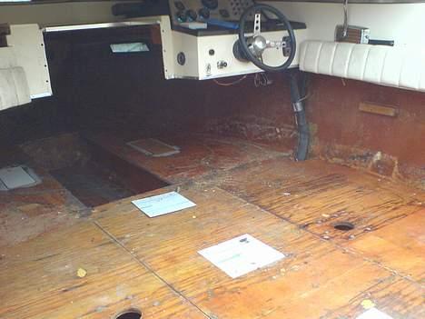 Chris Craft Scorpion 230 billede 16