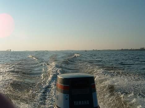 Shark speedbåd fra 19??? billede 5
