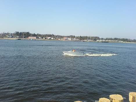 Terhi 400 BS  billede 12