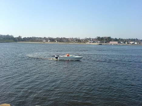 Terhi 400 BS  billede 13