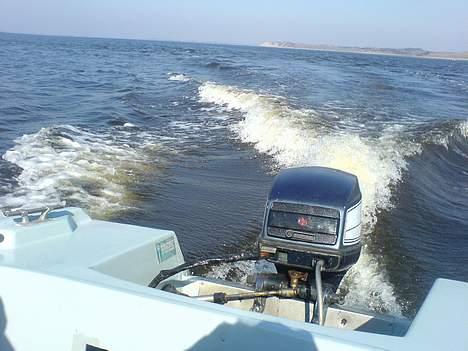 Terhi 400 BS  billede 15