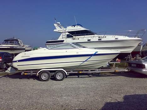 Campion Allante 615 VRi cc billede 17