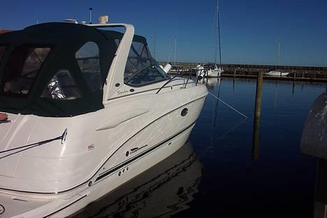 Chaparral 280 Signature - Dejligt vejr, lige som det skal være. billede 17