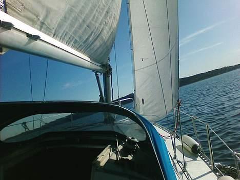 Avance 24 Solgt billede 14