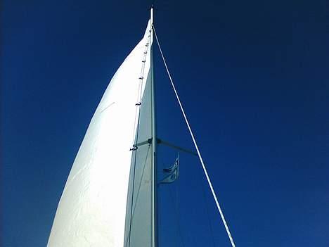 Avance 24 Solgt billede 16