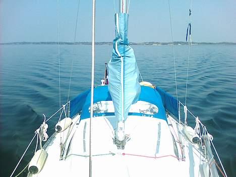 Avance 24 Solgt billede 17