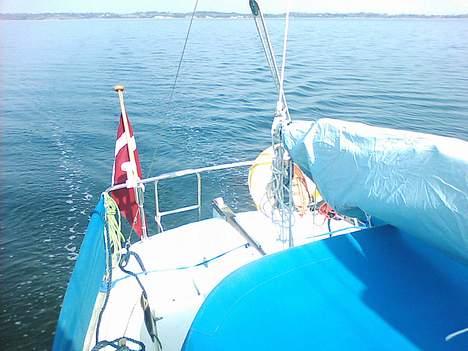Avance 24 Solgt billede 18