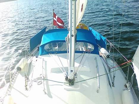 Avance 24 Solgt billede 19