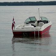 Sea Ray 175 sport