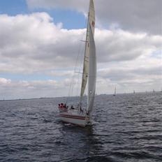 Banner 28 Racer Mk. II