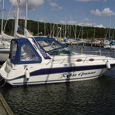 Sea Ray Sundancer 290