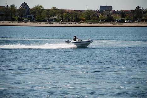 C C-Marine Trendy 11 "SOLGT billede 14