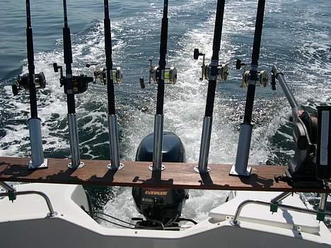 Ryds 485 FC billede 2