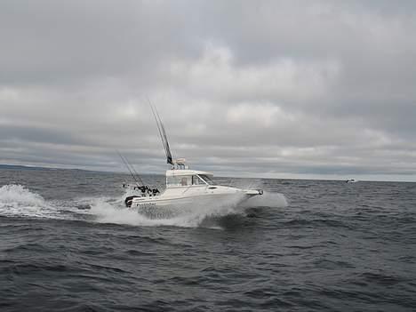 Cutter Profisher 182 HT - Bornholm 2007 billede 19