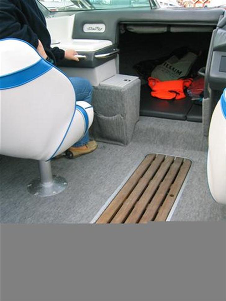 Sea Ray 200 billede 2
