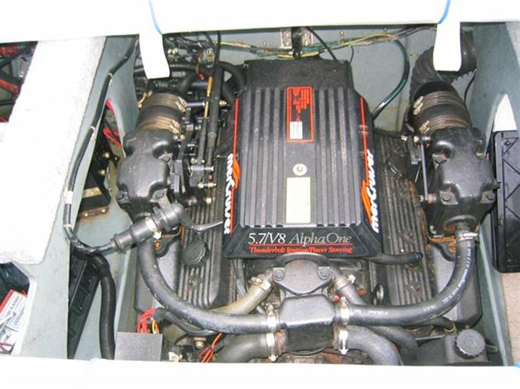 Sea Ray 200 billede 3