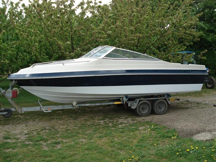 Sea Ray seville billede 1