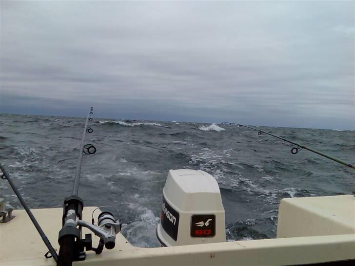 Uttern 545 Monsun - Den årlige fisketur (sidste søndag i Maj i Kalundborg fjord) billede 11
