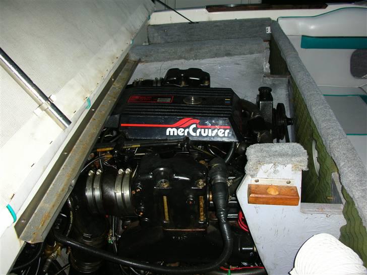 Sea Ray 170 CB billede 4