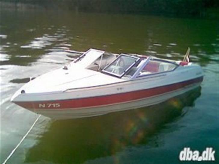 Campion Allante 170 billede 3