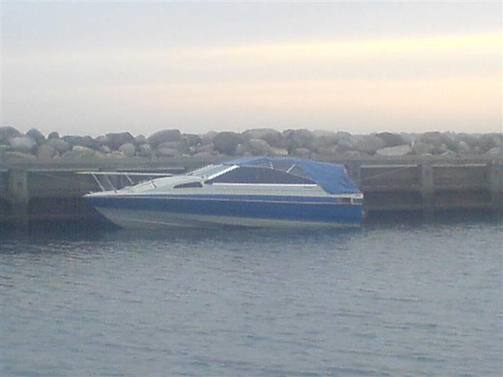 Bayliner 1952 capri  billede 7