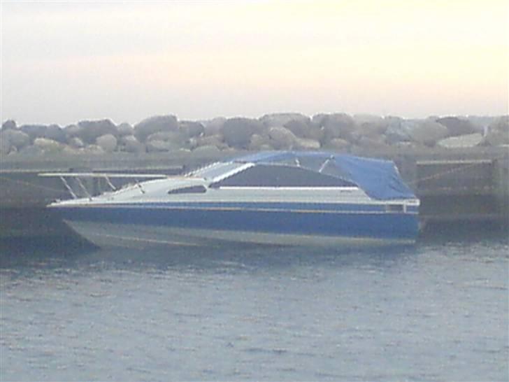 Bayliner 1952 capri  billede 8