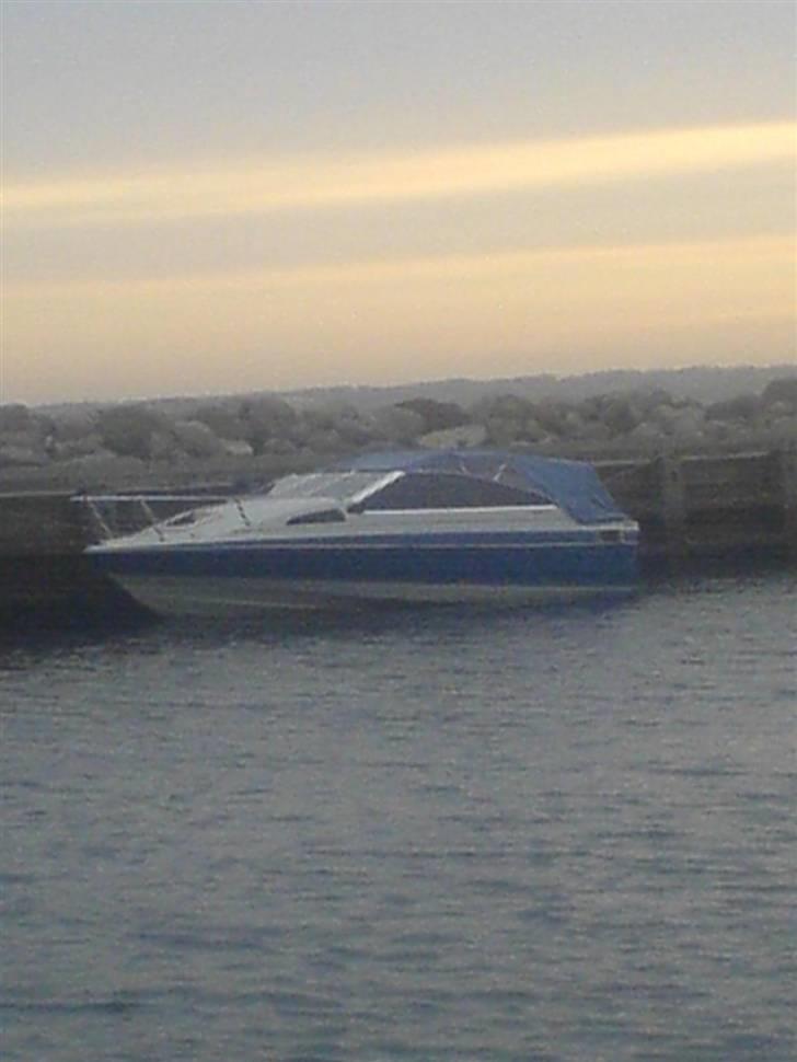 Bayliner 1952 capri  billede 9